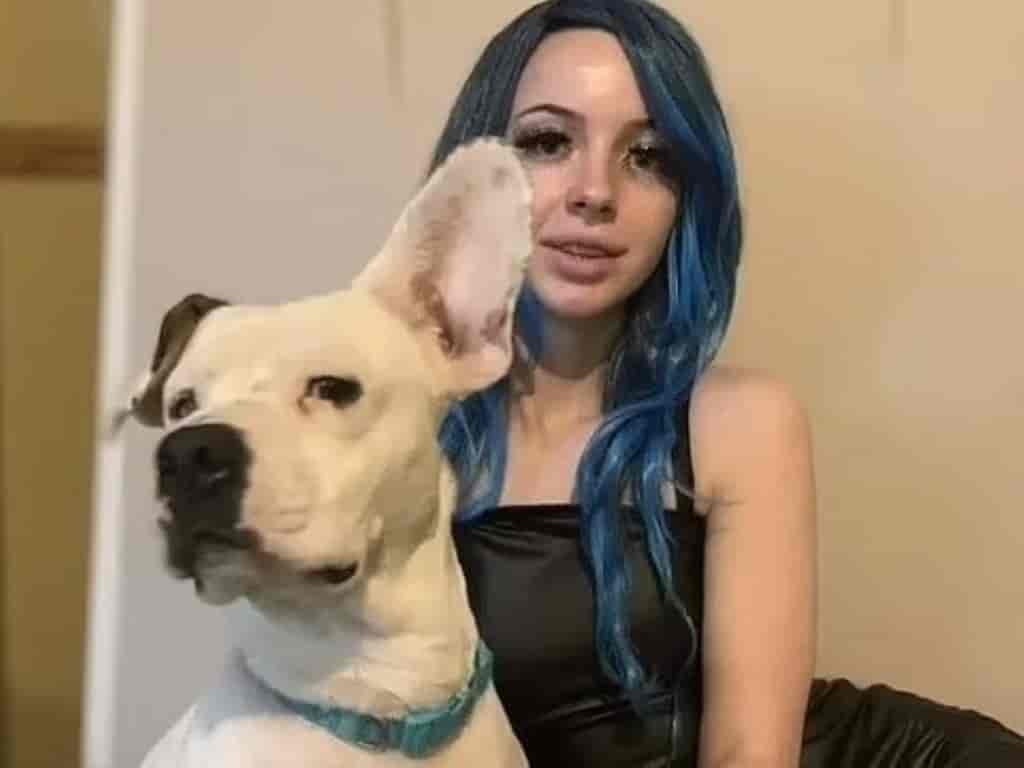 denise frazier dog video (8)